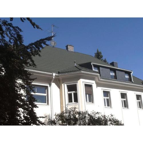 Композитная металлочерепица Evertile (Серый 22) Композитная металлочерепица Evertile (Серый 22)