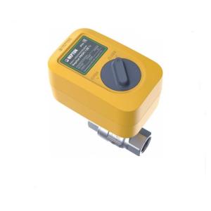 Шаровый электрокран Neptun PROFI 220В 3/4