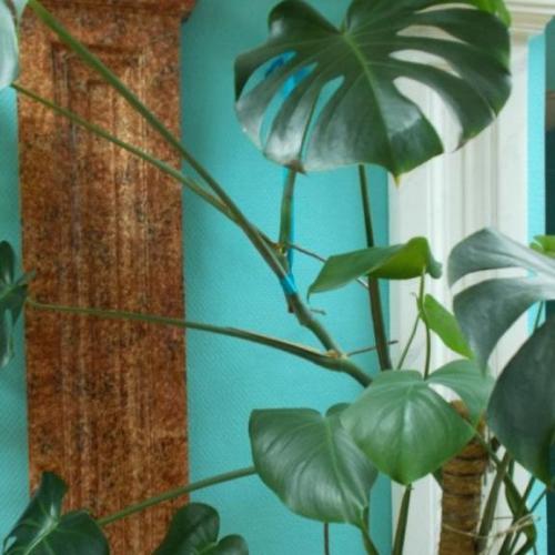 Стеклообои Wellton Optima Рогожка средняя WO110 Стеклообои Wellton Optima Рогожка средняя WO110