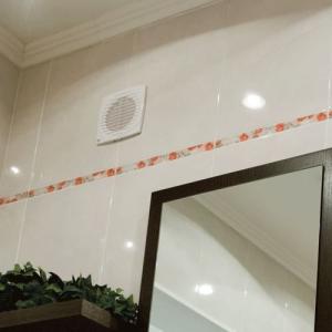 Vents 100 Д побутовий вентилятор