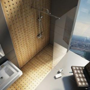 Душевая кабина Walk-In модель Wall 120 Рама - хром, стекло - каленое прозрачное