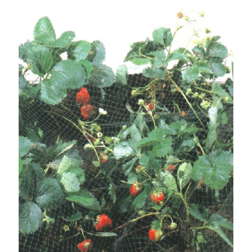 Сетка полимерная TENAX "Ортофлекс" зеленая (2х10м) Защита от птиц