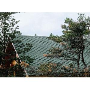 KATEPAL Битумная черепица Katrilli (Лишайник)