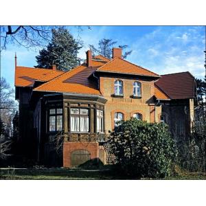 BRAAS Цементно-песчаная черепица Ревива Protector