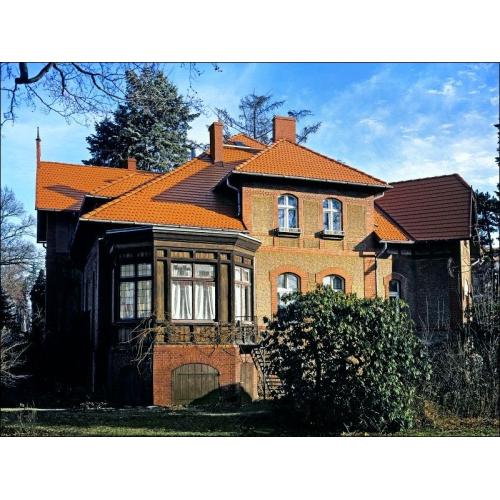 BRAAS Цементно-песчаная черепица Ревива Protector