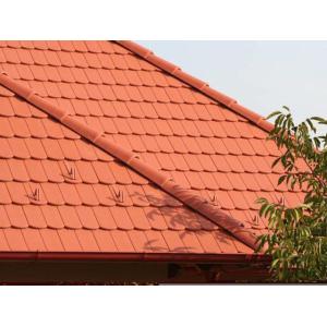 BRAAS Цементно-песчаная черепица Ревива Protector