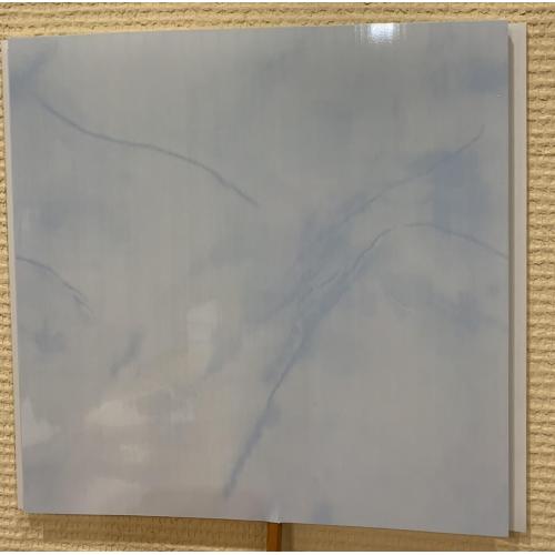 Вагонка пластиковая Оникс ON02 Мрамор голубой 25смх6м (8 мм)