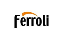 Котлы электрические Ferroli