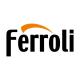 Твердотопливные котлы Ferroli