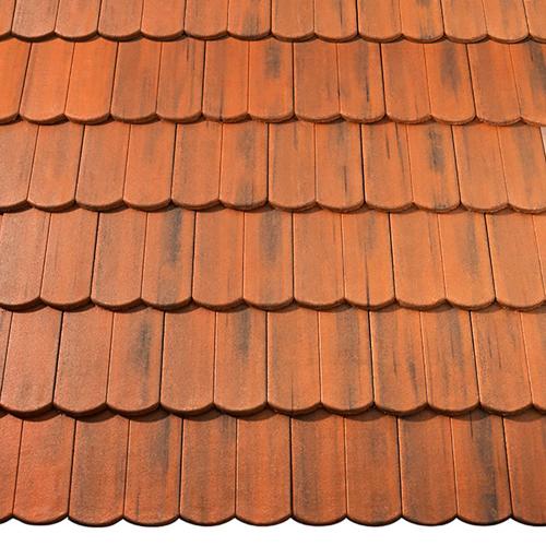 BRAAS Цементно-піщана черепиця Ревіва Protector