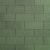 Amazon Green