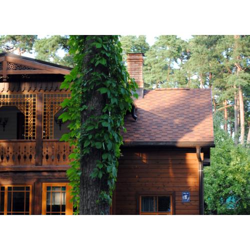 Бітумна черепиця Ruflex RUNA СБС Теракоту Бітумна черепиця Ruflex RUNA СБС Теракоту