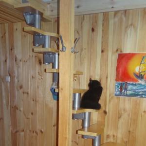 Лестница модульная Dolle Athena 58 см (высота 276 см)