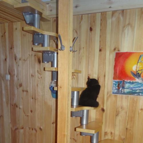 Сходи модульні Dolle Athena 58 см (висота 276 см)