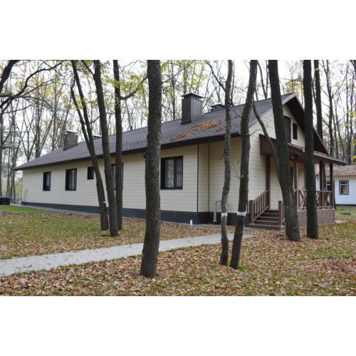 Фиброцементный сайдинг Cedral Lap Wood (фактура дерева)