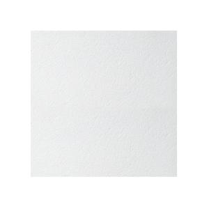 ARMSTRONG плита Retail Board 600х600х12 мм