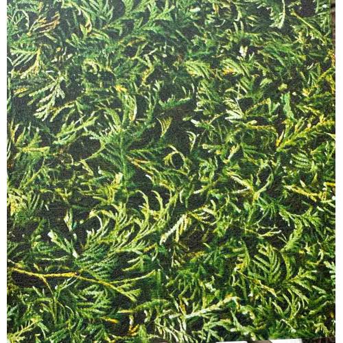 Профнастил принт зелена стіна (Green Wall) П-10 0,45 мм (Корея)