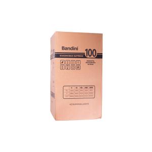 Электрический водонагреватель Bandini Water Heaters SE 100