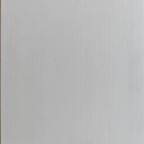 Вагонка пластикова ПВХ Біла матова 25смх6м (7 мм)