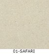 01-Safari-