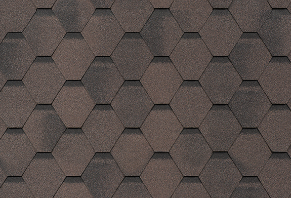 Сальса Фінік