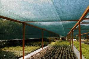 Сітка, що затіняє Tenax