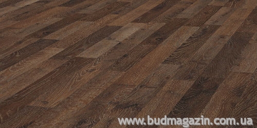 Коллекция ламината Kronotex Dynamic D2982 Дуб Шотландский