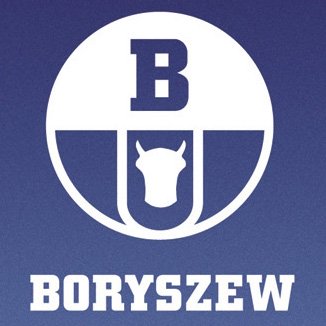 вініловий сайдинг boryszew