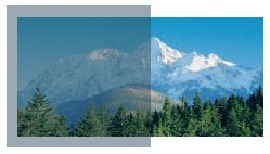 Маркіза AMZ I Fakro 78х98